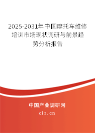 2025-2031年中国摩托车维修培训市场现状调研与前景趋势分析报告
